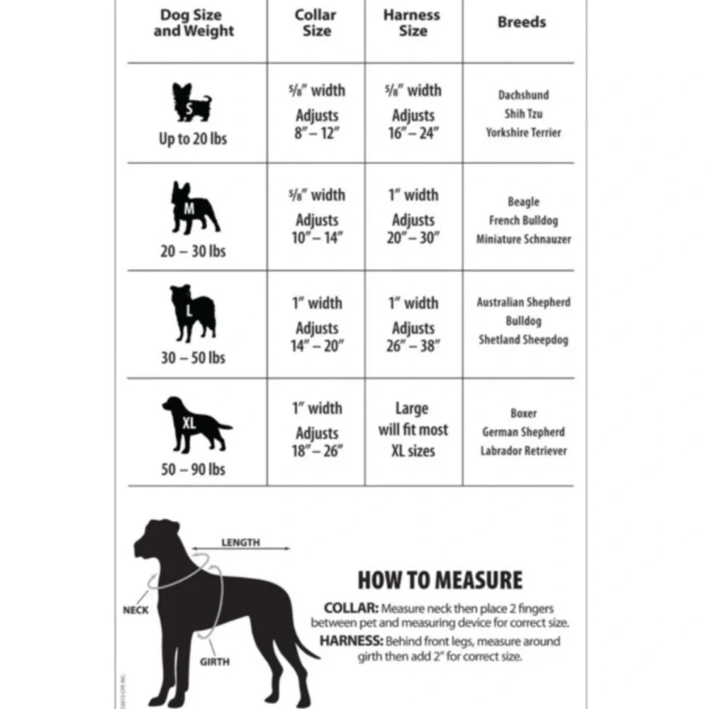 L.L. Bean Dog Harness